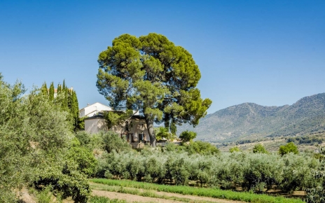 Entorno mediterráneo del Valle de Lecrín (Granada)